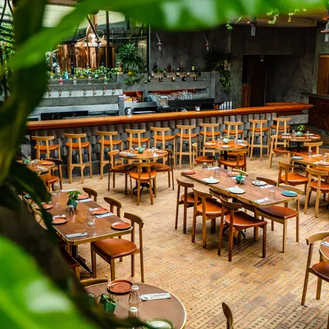 The Druid Garden, bar serving asian, pizza in Byatarayanapura, Bengaluru
