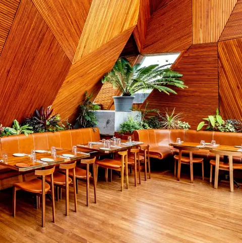 The Druid Garden, bar serving asian, pizza in Byatarayanapura, Bengaluru