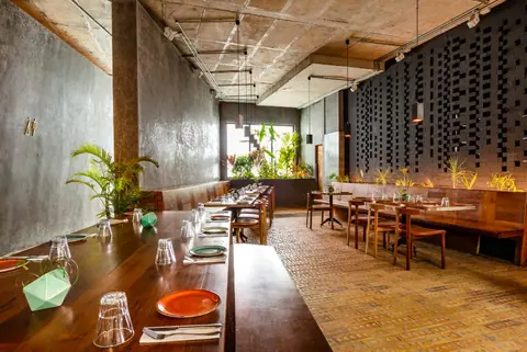 The Druid Garden, bar serving asian, pizza in Byatarayanapura, Bengaluru