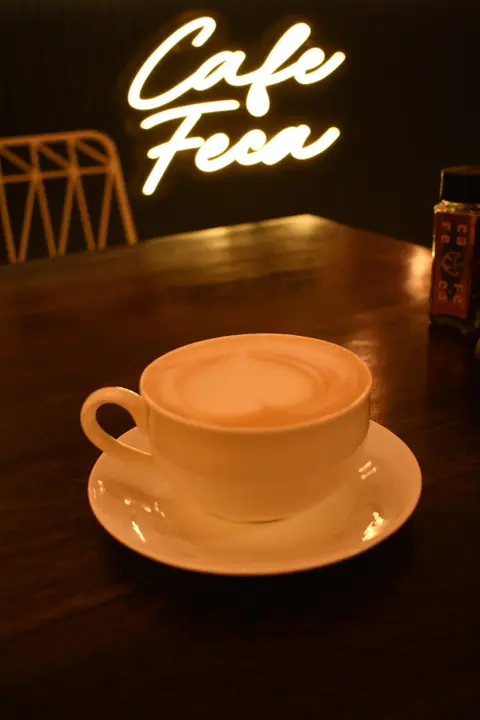 Cafe Feca, cafe serving italian, pizza in Thanesar