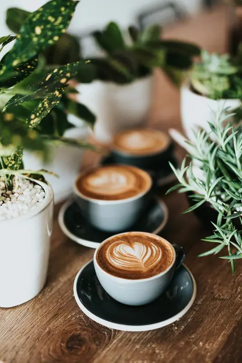 Teapot Cafe, cafe serving coffee in Udupi