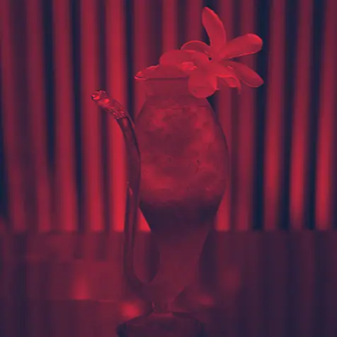 Red cocktail in a decorative glass with a flower garnish