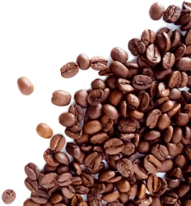 Barista, cafe serving coffee in Mumbai