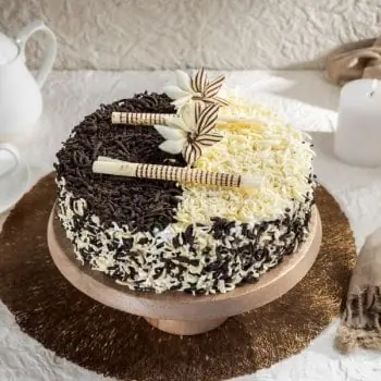 Round chocolate and vanilla cake with chocolate sticks and white chocolate shavings
