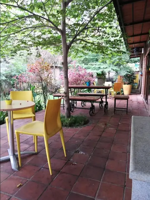 The Yellow Tree, bar serving italian, sandwich in Byrathi, Bengaluru