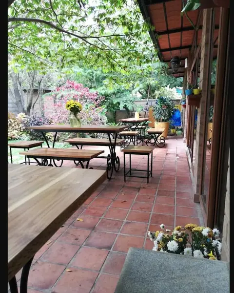 The Yellow Tree, bar serving italian, sandwich in Byrathi, Bengaluru